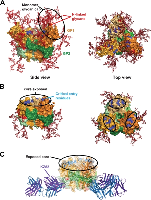 FIG. 6.