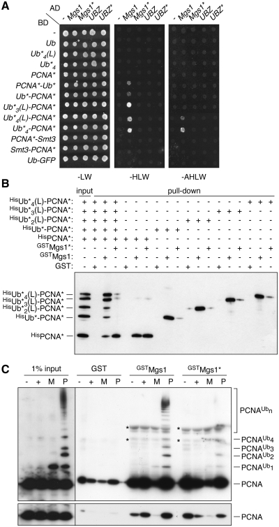 Figure 3.