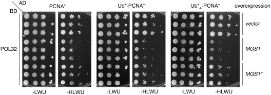 Figure 6.