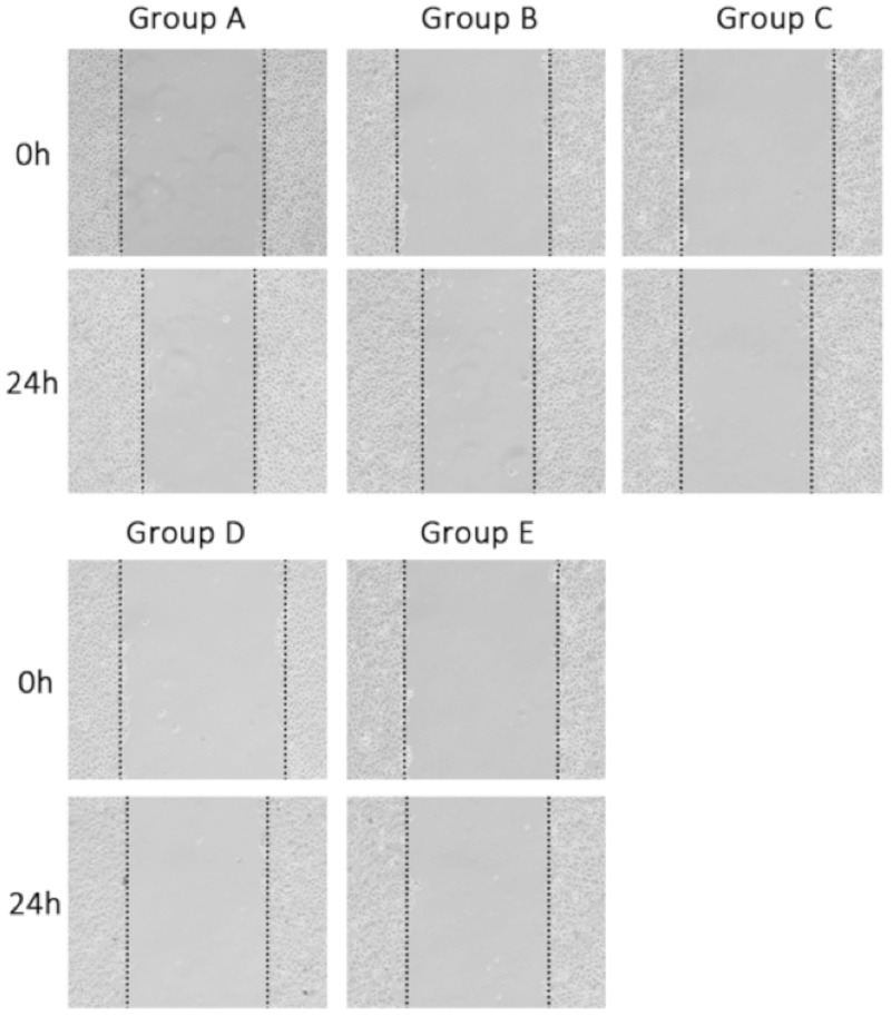 Figure 5.