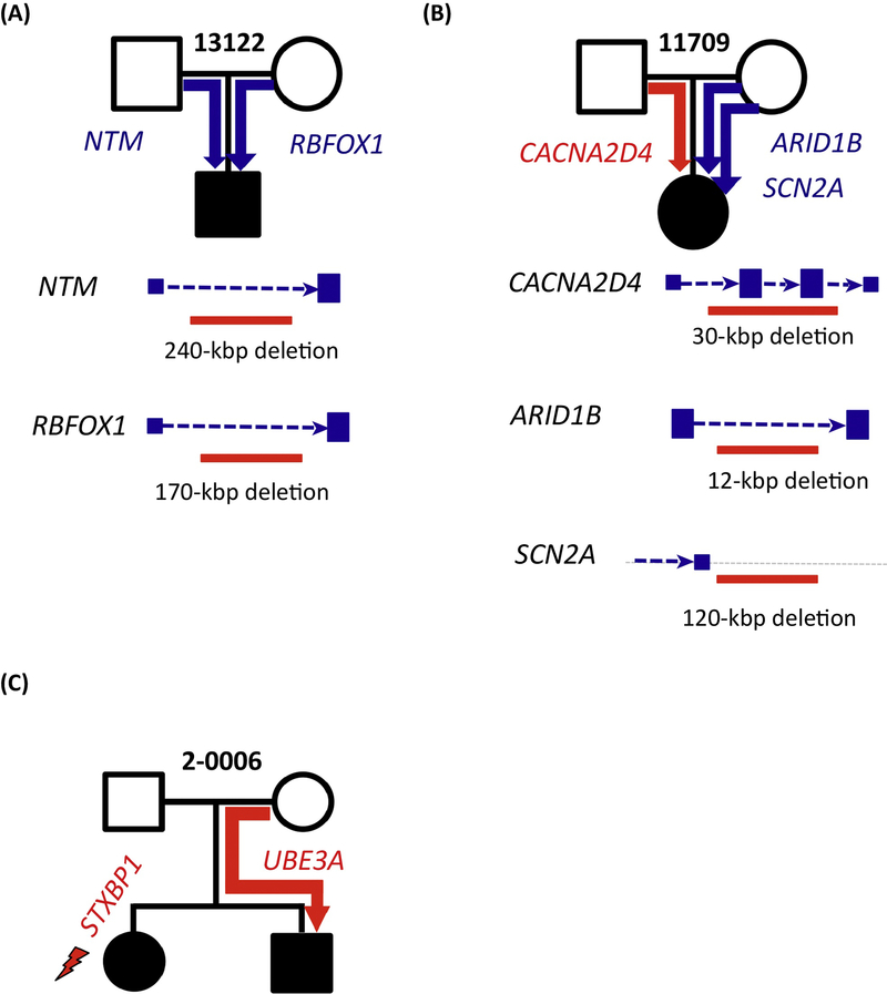 Figure 1: