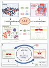 Fig. (1)