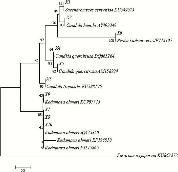 Figure 2.