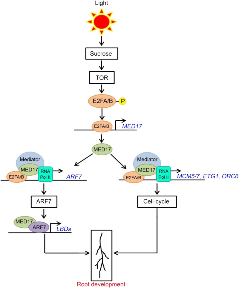 Figure 10