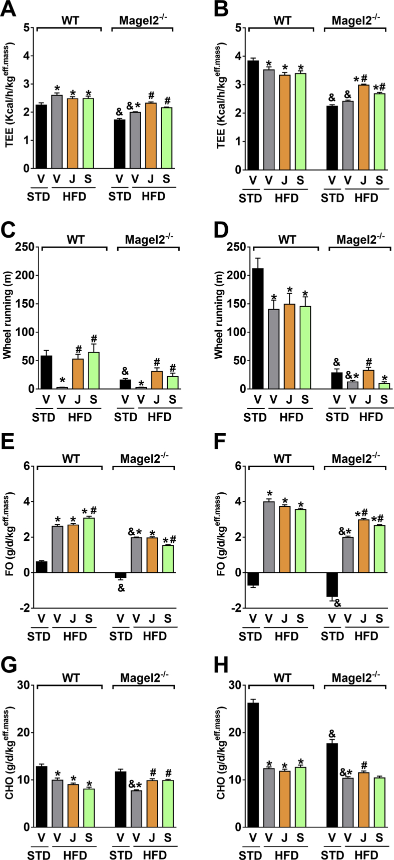 Figure 7