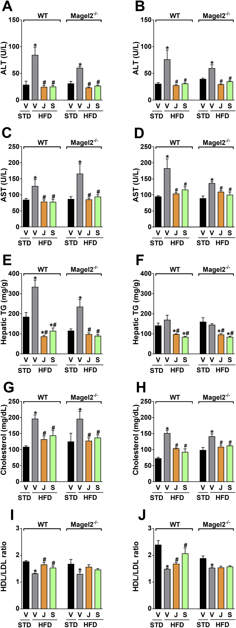 Figure 6