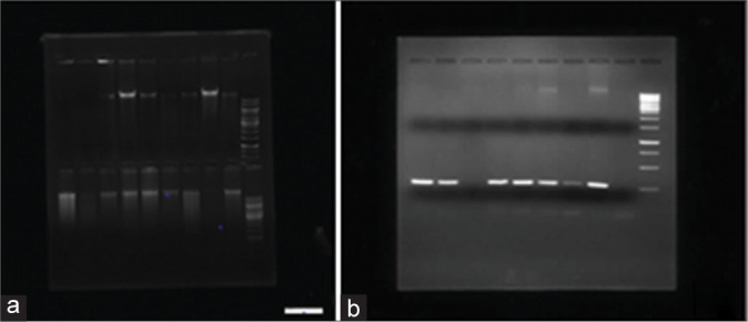 Figure 3:
