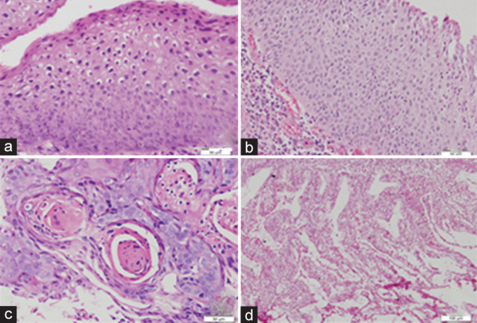Figure 4: