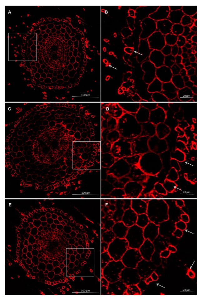 Figure 15