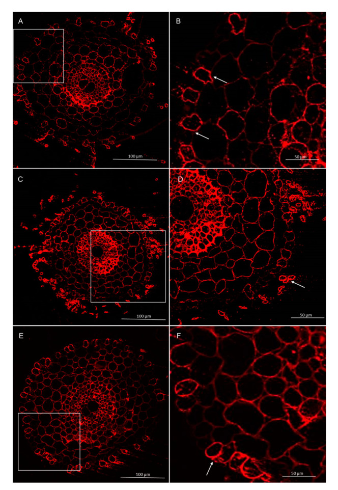 Figure 16