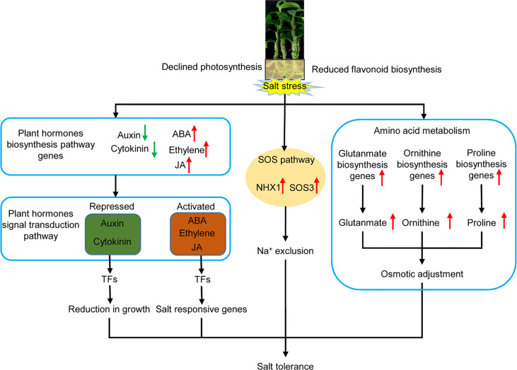 Figure 11