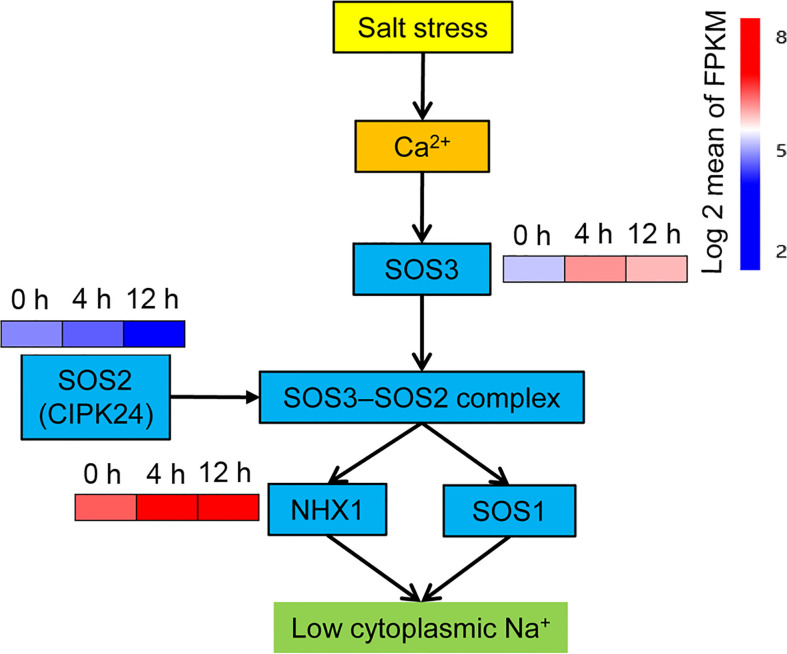 Figure 5