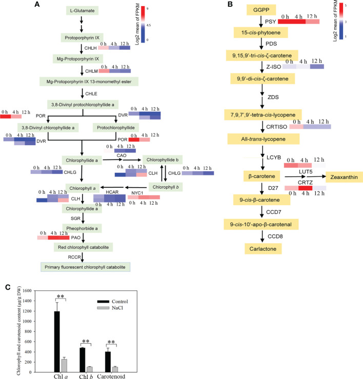 Figure 6