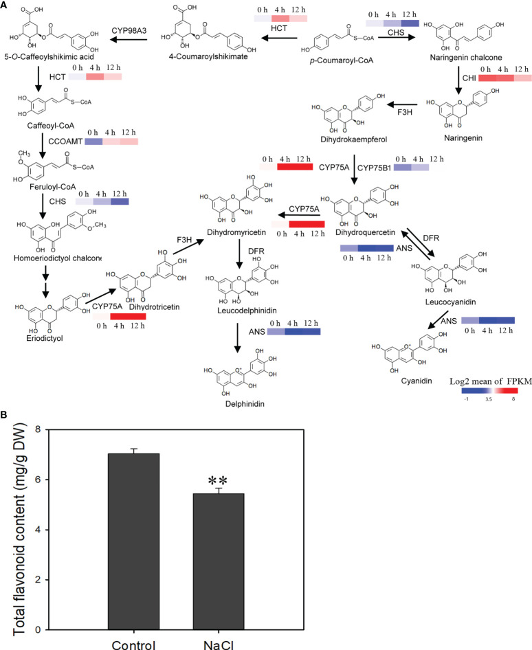 Figure 9