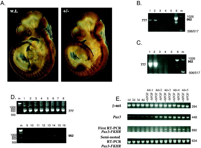 FIG.2.