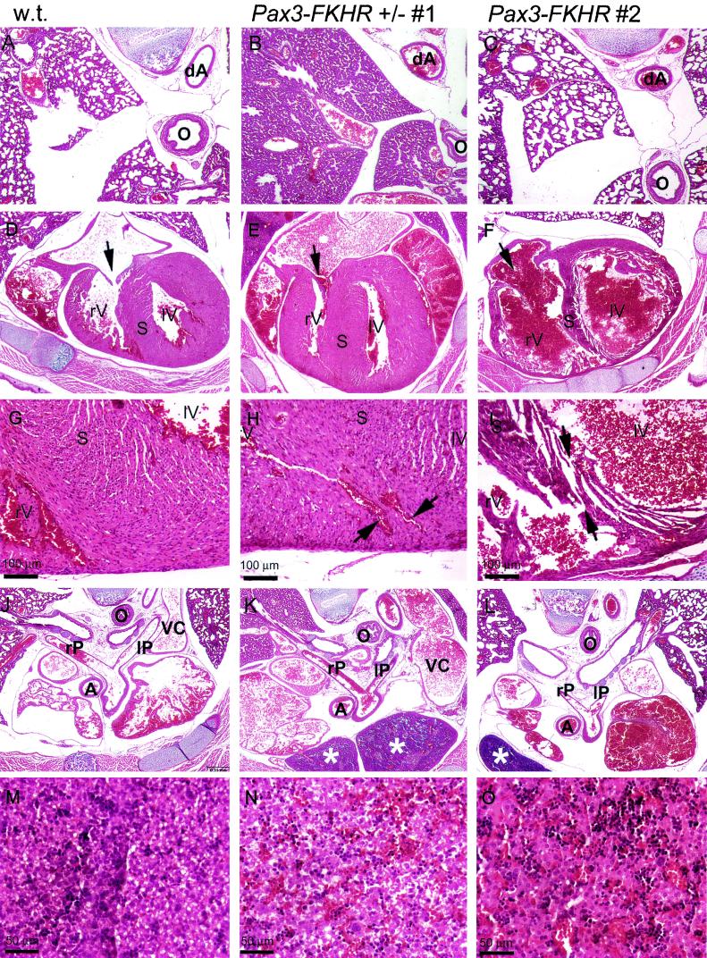 FIG.3.