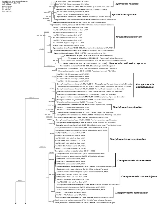 Fig. 1.