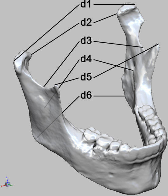 Fig. 2