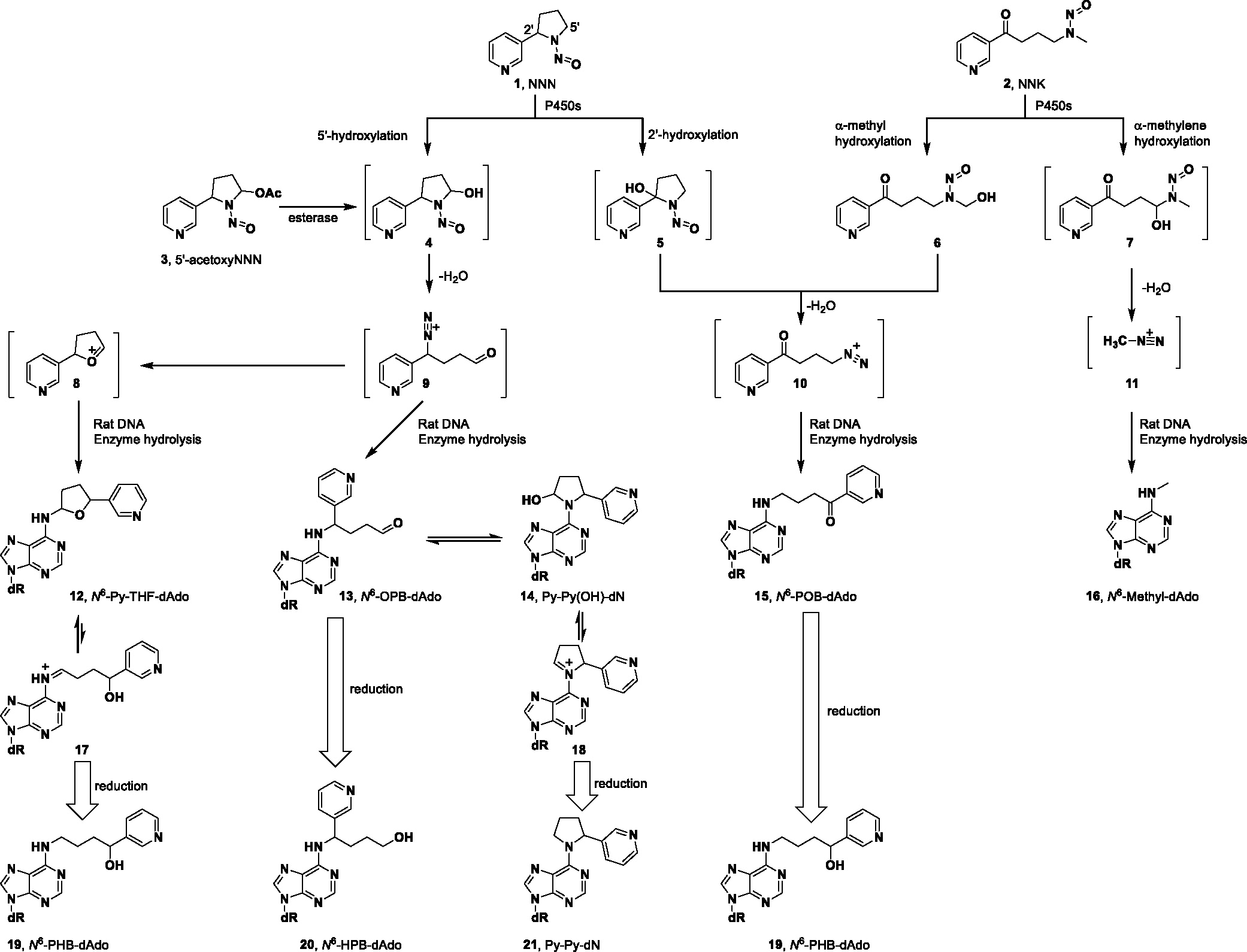 Scheme 1.