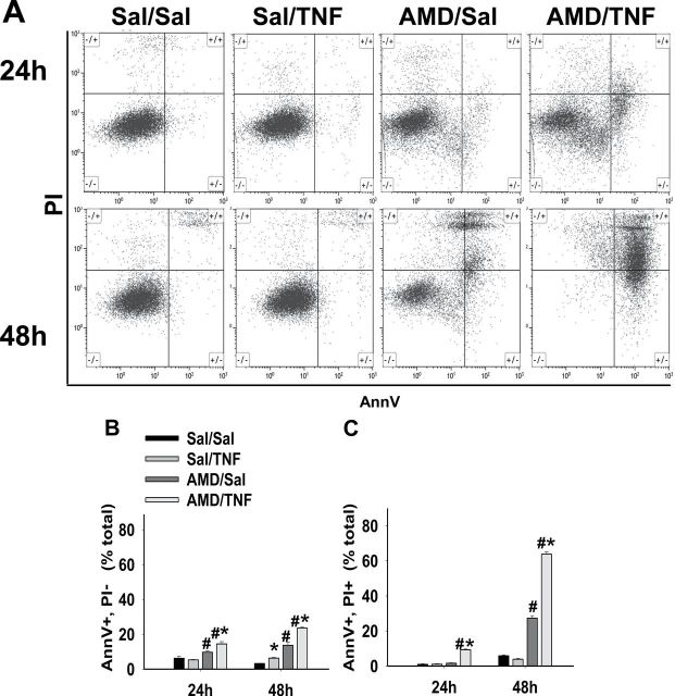 FIG. 2.