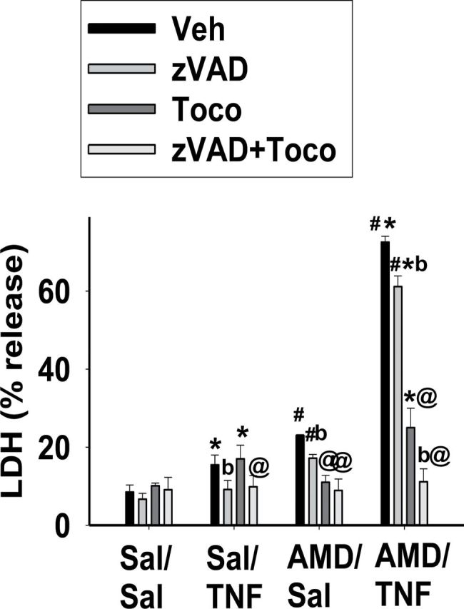 FIG. 11.