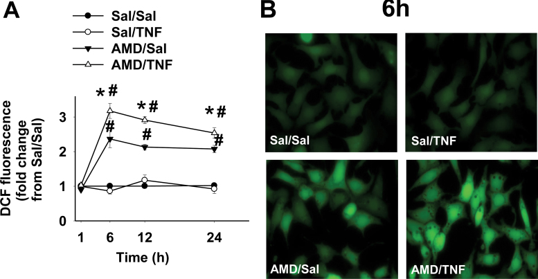 FIG. 7.