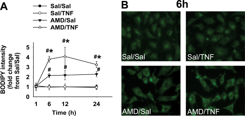 FIG. 9.