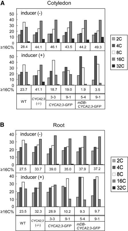 Figure 6.