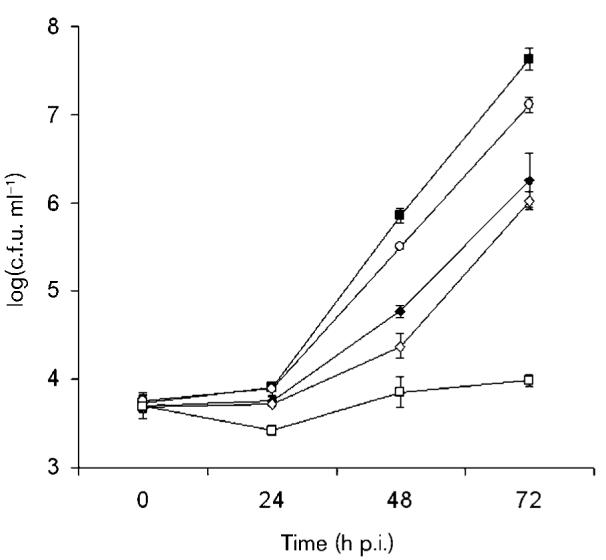 Fig. 5