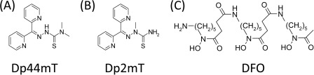 FIGURE 1.