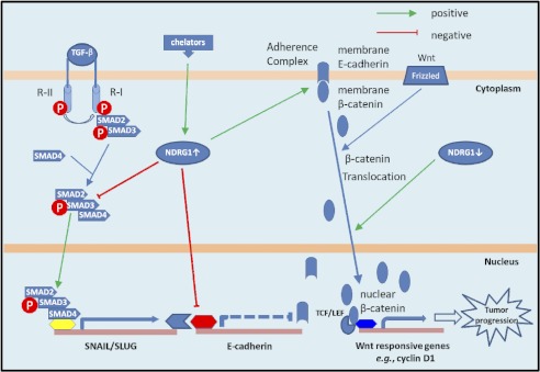 FIGURE 7.