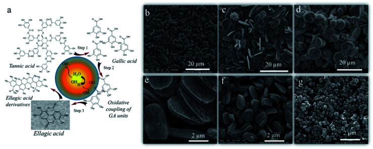 Fig. 4