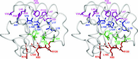 FIG. 4.