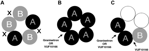 Fig. 8.