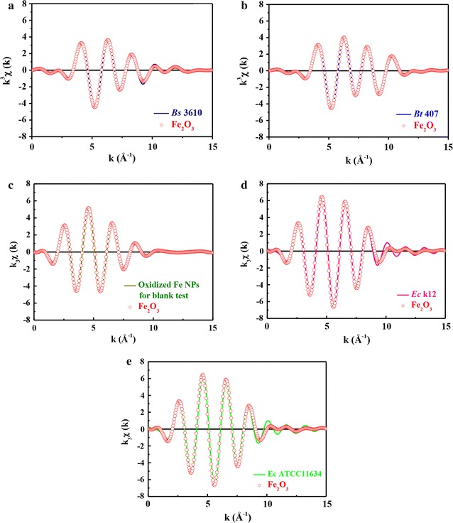 Fig. 6