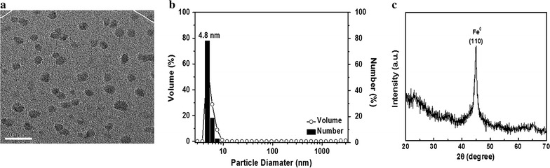 Fig. 1