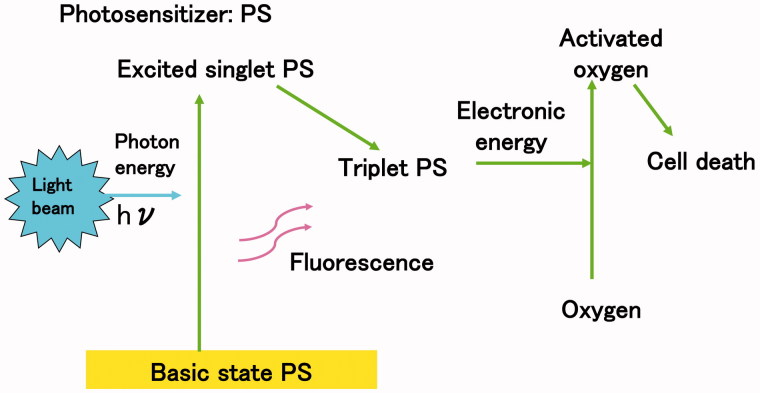 Figure 1.