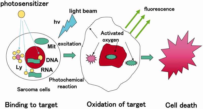 Figure 2.