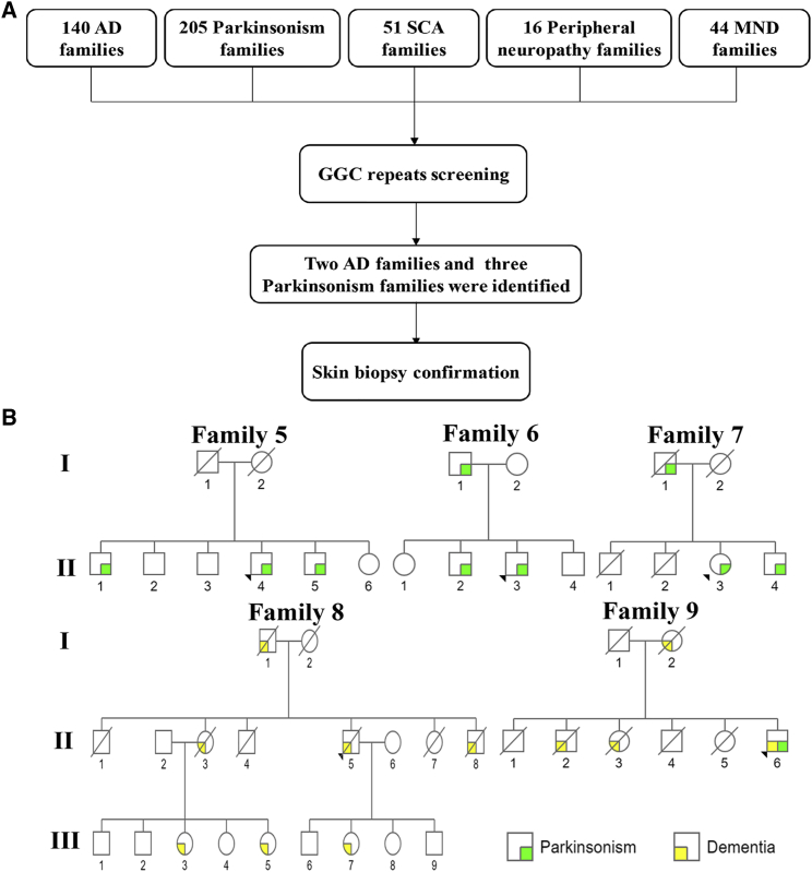 Figure 3