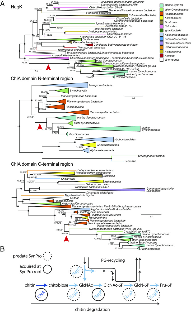 Fig. 6.