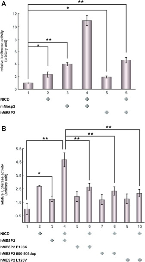 Figure 4