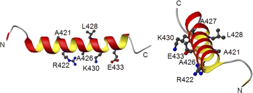 FIGURE 10.