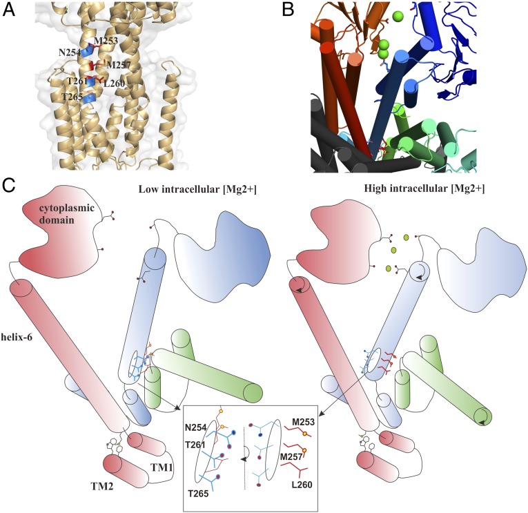 Fig. 4.