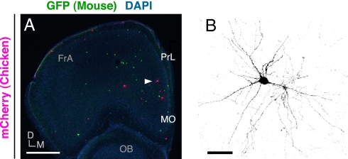 Fig. 4.