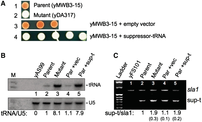 Figure 3.