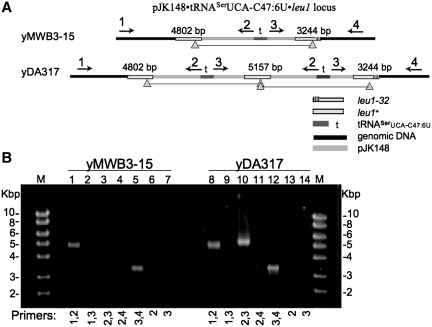 Figure 4.