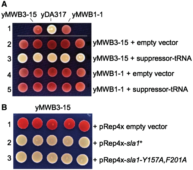 Figure 5.