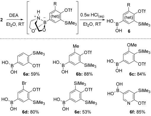 Scheme 4