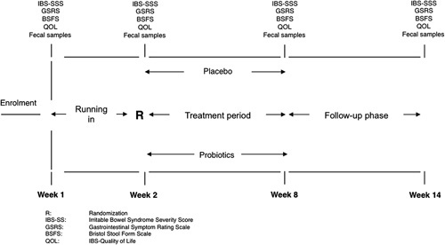 FIGURE 1