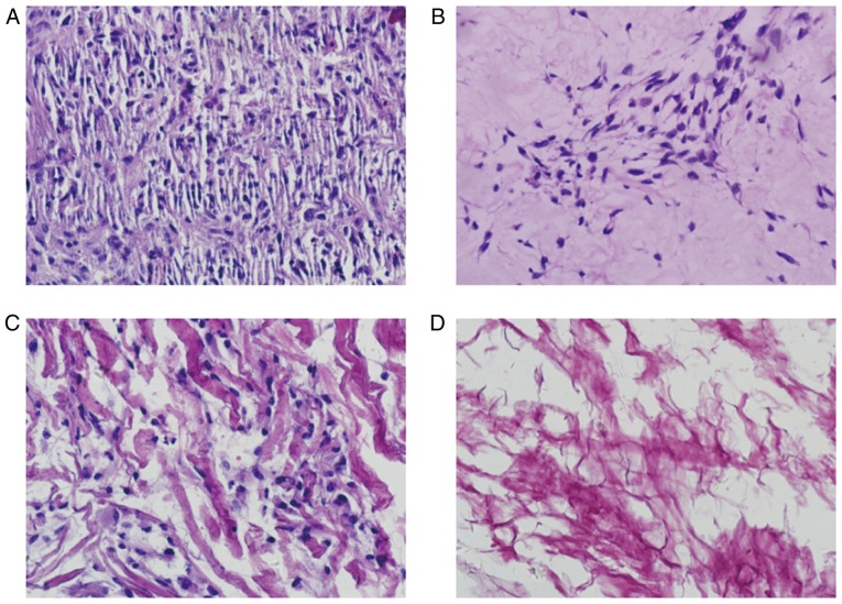 Figure 10.